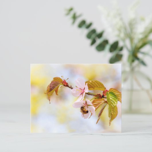 Biene auf einer Kirsche-Blume Postkarte (Stehend Vorderseite)