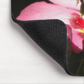 Biene auf einer Rose von Sharon Mousepad (Ecke)