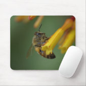 Biene auf Firebush Mousepad (Mit Mouse)