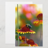 Biene auf Gaillardia Briefpapier (Vorne/Hinten)