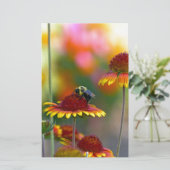 Biene auf Gaillardia Briefpapier (Stehend Vorderseite)