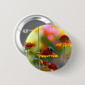 Biene auf Gaillardia Button (Vorne & Hinten)