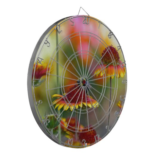 Biene auf Gaillardia Dartscheibe (Vorderseite Links)