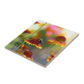 Biene auf Gaillardia Fliese (Seite)