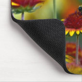 Biene auf Gaillardia Mousepad (Ecke)