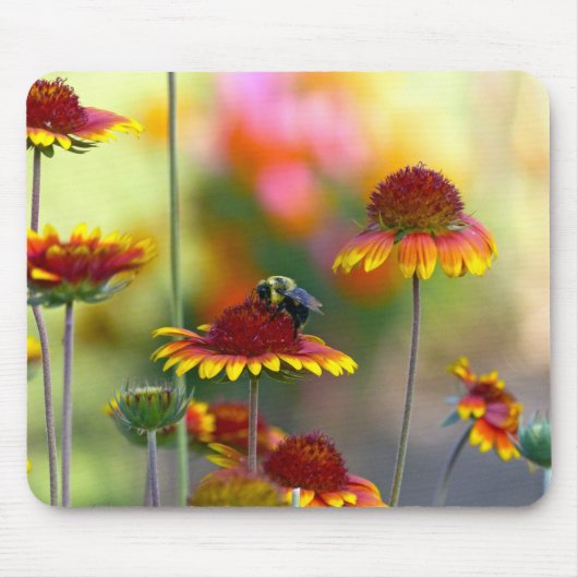 Biene auf Gaillardia Mousepad (Vorne)