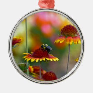 Biene auf Gaillardia Ornament Aus Metall