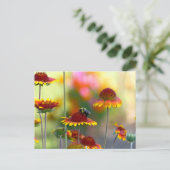 Biene auf Gaillardia Postkarte (Stehend Vorderseite)