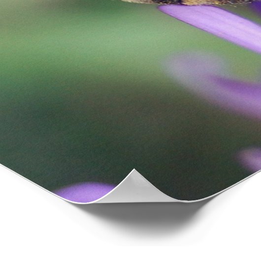 Biene auf Gelb & Lila Blume Poster (Ecke)