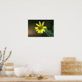 Biene auf Gelbe Wildblumen Poster (Küche)