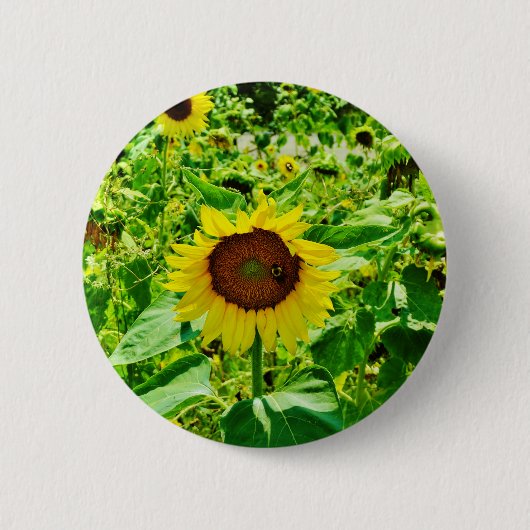 Biene auf gelber Sonnenblume Button (Vorderseite)