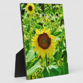 Biene auf gelber Sonnenblume Fotoplatte (Seite)