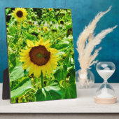 Biene auf gelber Sonnenblume Fotoplatte (Seite)