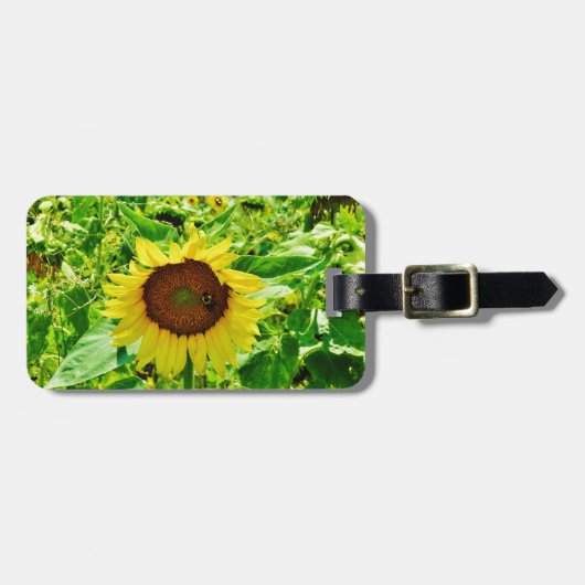 Biene auf gelber Sonnenblume Gepäckanhänger (Vorderseite horizontal)