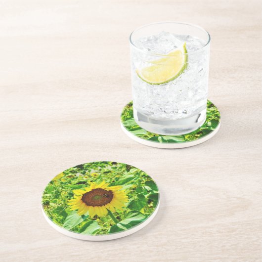 Biene auf gelber Sonnenblume Getränkeuntersetzer (Seite)