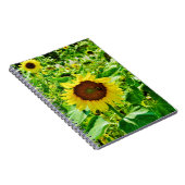 Biene auf gelber Sonnenblume Notizblock (Rechte Seite)