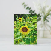 Biene auf gelber Sonnenblume Postkarte (Stehend Vorderseite)