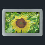 Biene auf gelber Sonnenblume Rechteckige Gürtelschnalle<br><div class="desc">Sonnenblumenfeld. Foto von der Künstlerin Sandy Closs. Herbst und Herbst Hintergrund eines sonnigen Feldes mit gelben und goldenen Sonnenblumen. Personalisieren Sie mit Ihrem eigenen Text. Herbst,  Sonnenblumen,  Sommer,  Gelb,  Gold,  Herbst,  Natur Blume Blume Garten Land</div>