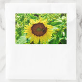 Biene auf gelber Sonnenblume Rechteckiger Aufkleber (Tasche)