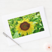 Biene auf gelber Sonnenblume Rechteckiger Aufkleber (Umschlag)