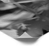 Biene auf Kolumbus Blume teilweise Farbe Poster (Ecke)