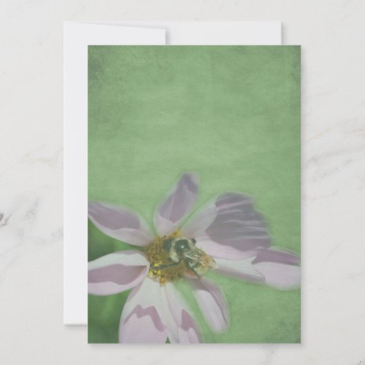 Biene auf Kosmos Blume Nature Party Einladung (Rückseite)