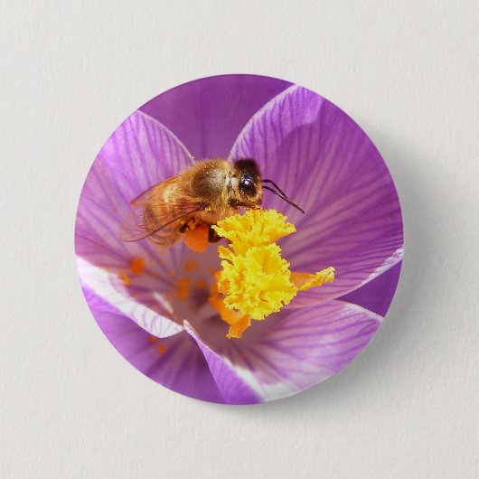 Biene auf Krokus ~ Knopf Button (Vorderseite)
