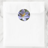 Biene auf Krokus Runder Aufkleber (Tasche)