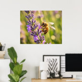 Biene auf Lavendel Poster (Heimbüro)