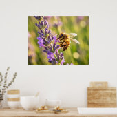Biene auf Lavendel Poster (Küche)