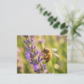 Biene auf Lavendel Postkarte (Stehend Vorderseite)