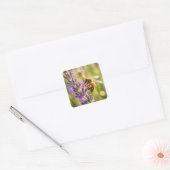Biene auf Lavendel Quadratischer Aufkleber (Umschlag)