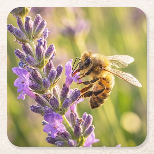 Biene auf Lavendel Rechteckiger Pappuntersetzer (Vorderseite)