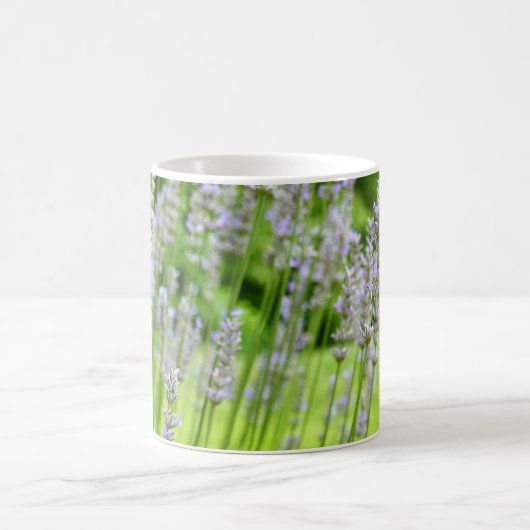 Biene auf Lavender Summer Floral Kaffeetasse (Mittel)