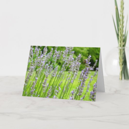 Biene auf Lavender Summer Floral Karte (Vorderseite)