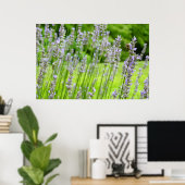 Biene auf Lavender Summer Floral Poster (Heimbüro)