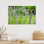 Biene auf Lavender Summer Floral Poster (Küche)
