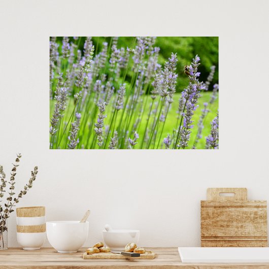 Biene auf Lavender Summer Floral Poster (Küche)