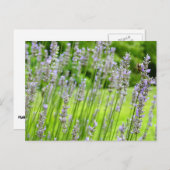 Biene auf Lavender Summer Floral Postkarte (Vorne/Hinten)