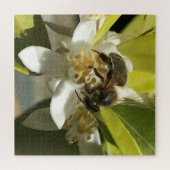 Biene auf Lemon Blossom Puzzle (Horizontal)