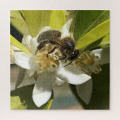 Biene auf Lemon Blossom Puzzle (Vertikal)