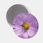 Biene auf lila Blume Magnet (Vorderseite/Rückseite)