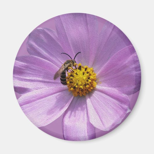 Biene auf lila Blume Magnet (Vorne)