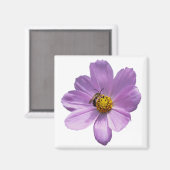 Biene auf lila Blume Magnet (Vorderseite/Rückseite)