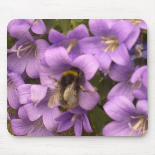 Biene auf lila Blumen Mousepad (Vorne)