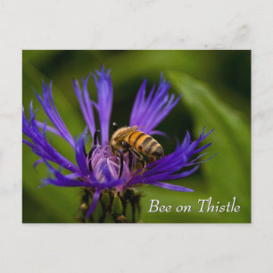 Biene auf lila Dickicht-Blume Postkarte