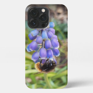 Biene auf Muscari Armeniacum, TraubenHyakinth iPhone 13 Pro Hülle