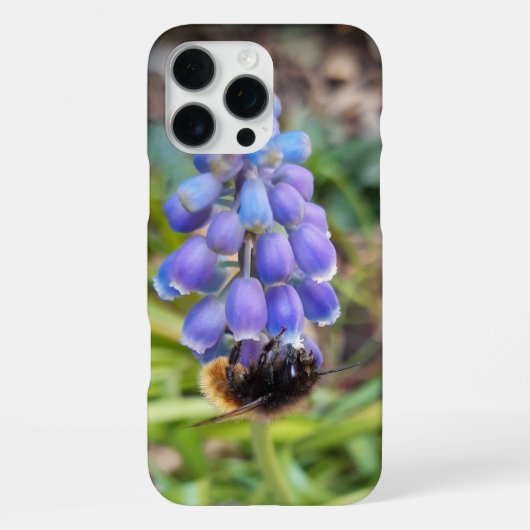 Biene auf Muscari Armeniacum, TraubenHyakinth iPhone Hülle (Rückseite)