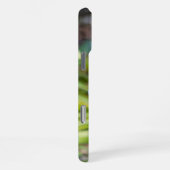 Biene auf Muscari Armeniacum, TraubenHyakinth iPhone Hülle (Rechte Seite)