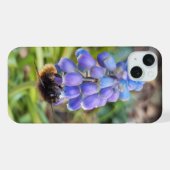Biene auf Muscari Armeniacum, TraubenHyakinth iPhone Hülle (Rückseite (Horizontal))